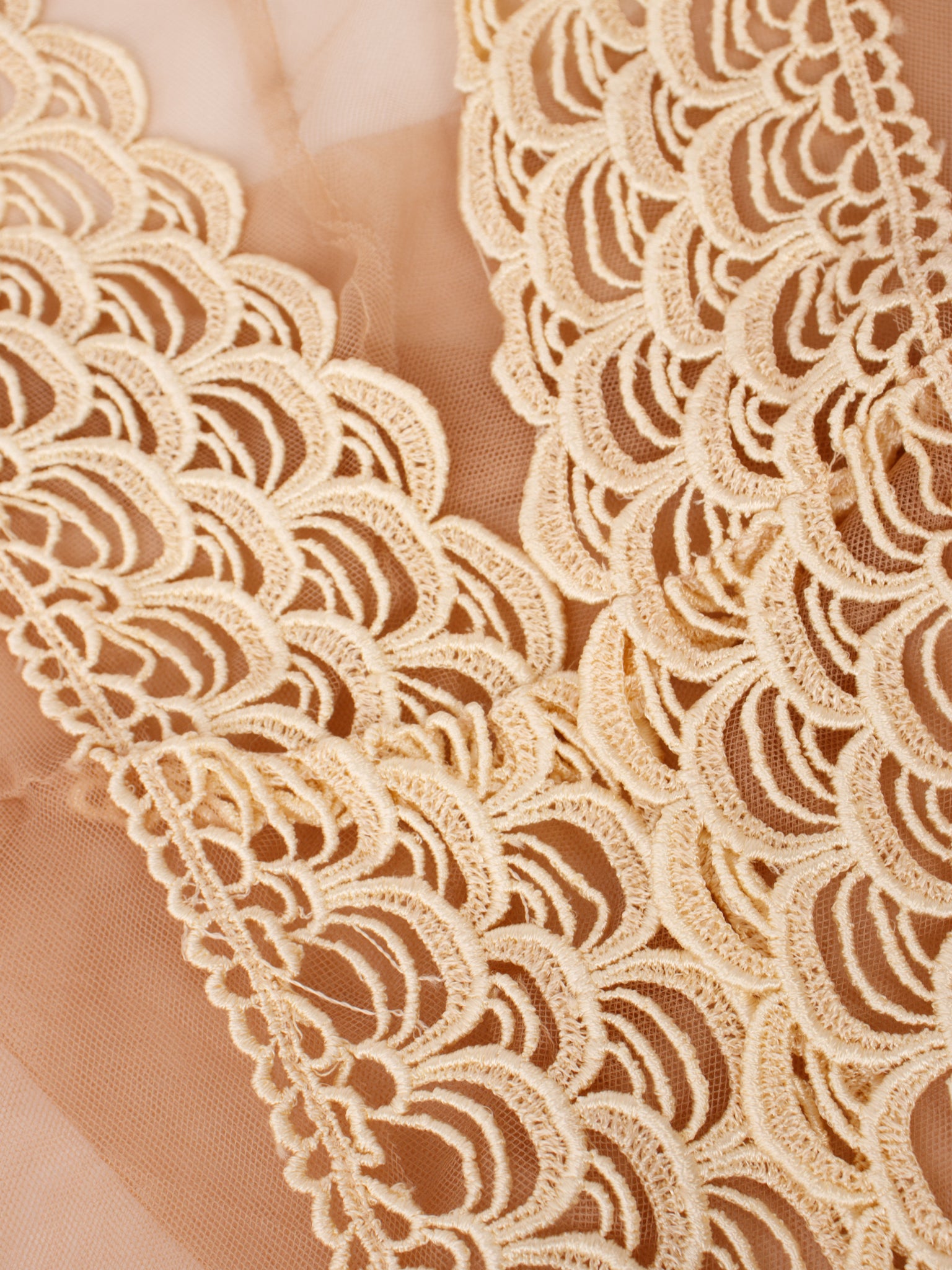 Akira Tulle & Guipure Lace Hooded Vest
