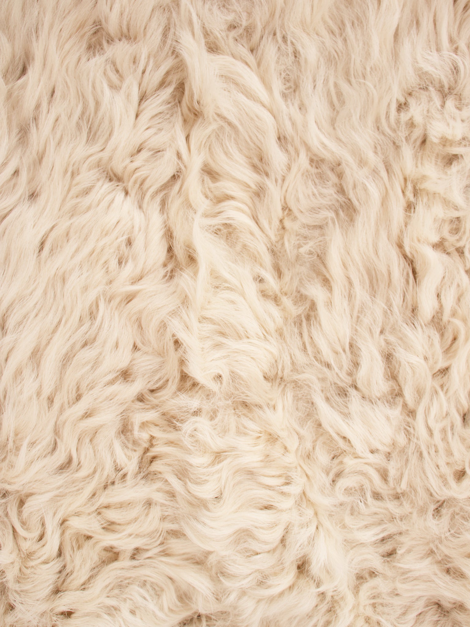 FW 2014 Isabel Marant Kalgan Lamb Shearling Cardigan