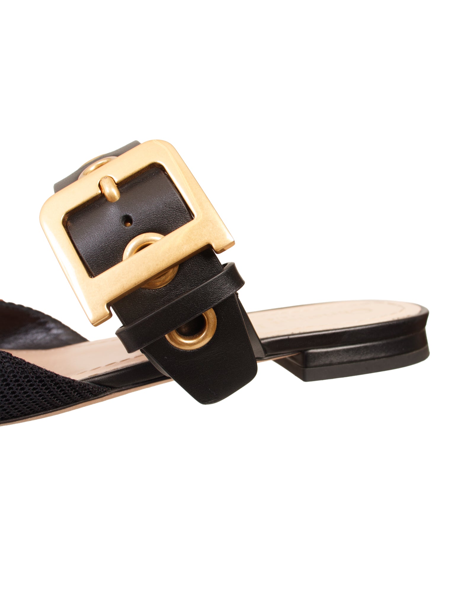 Christian Dior D-Dior Ballerina Buckle Mules