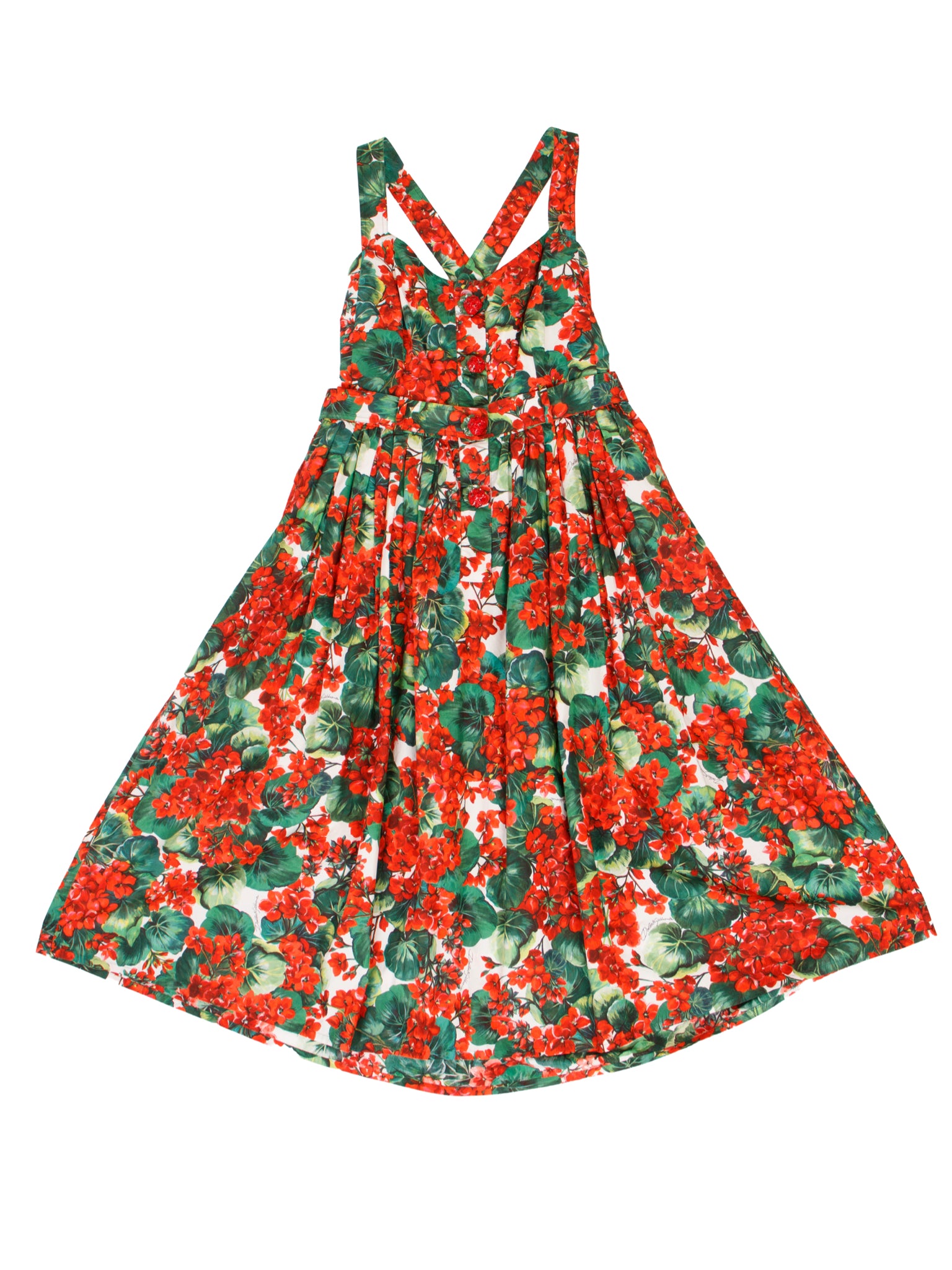 Dolce & Gabbana Geranium Print Dress