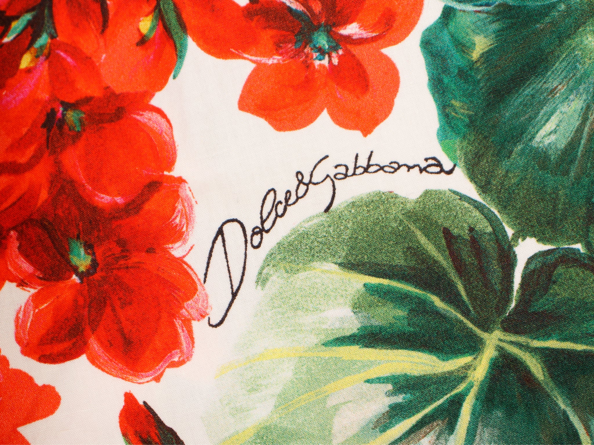 Dolce & Gabbana Geranium Print Dress