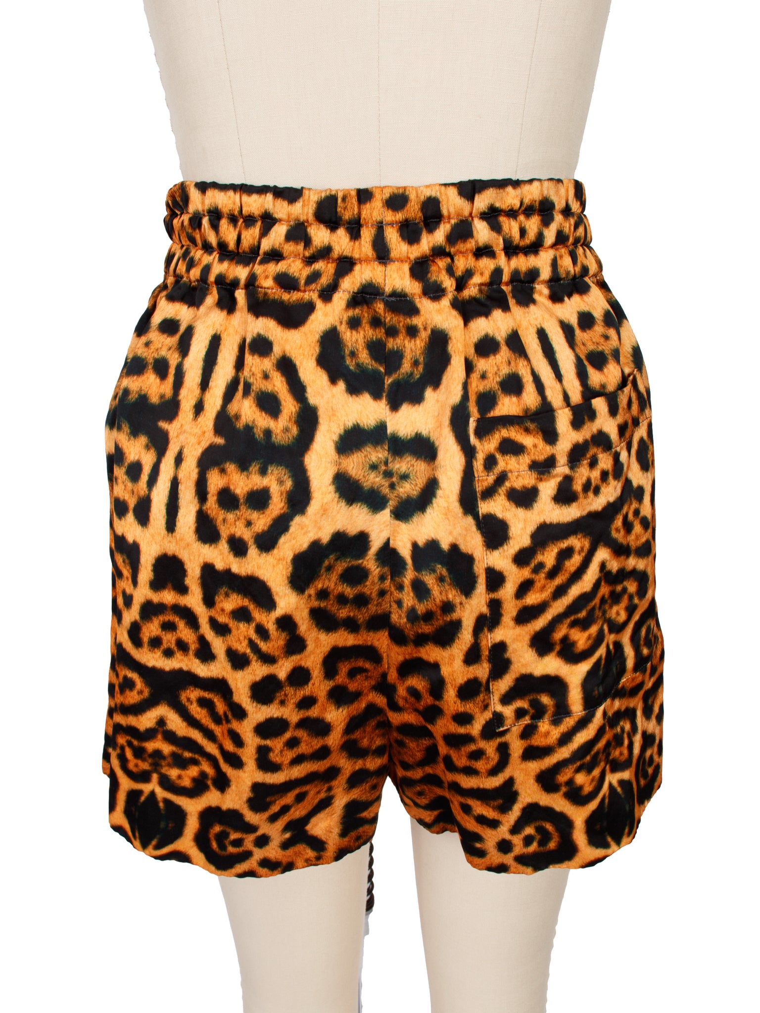 Dries Van Noten Leopard Print Shorts